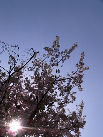 f:id:gzutetsu:20100418140906j:image