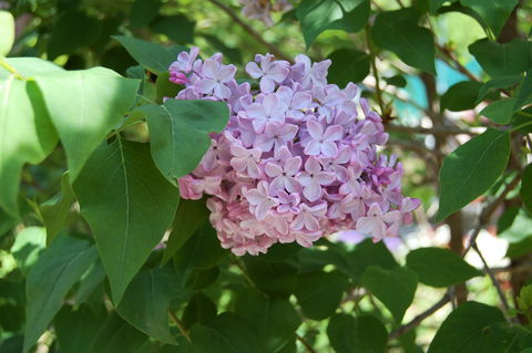 f:id:gzutetsu:20100429132912j:image