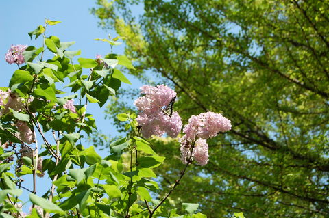 f:id:gzutetsu:20100429133537j:image