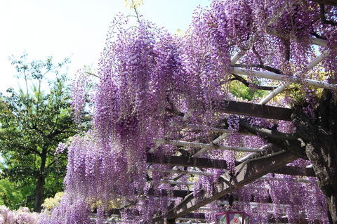 f:id:gzutetsu:20100429134350j:image
