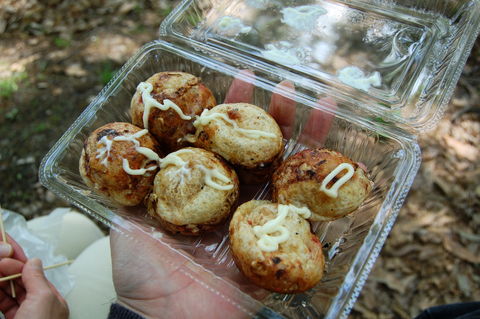 f:id:gzutetsu:20100429134802j:image