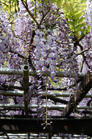 f:id:gzutetsu:20100429135610j:image