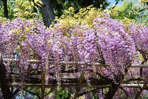 f:id:gzutetsu:20100429140624j:image