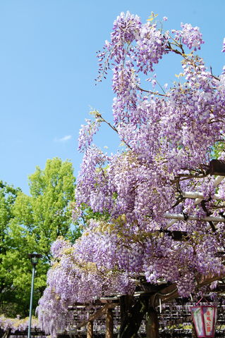 f:id:gzutetsu:20100429141050j:image