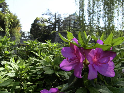 f:id:gzutetsu:20100429141337j:image