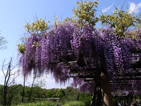 f:id:gzutetsu:20100429143119j:image