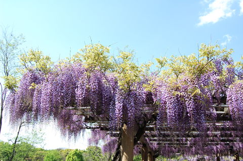 f:id:gzutetsu:20100429144852j:image