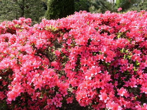 f:id:gzutetsu:20100429145135j:image