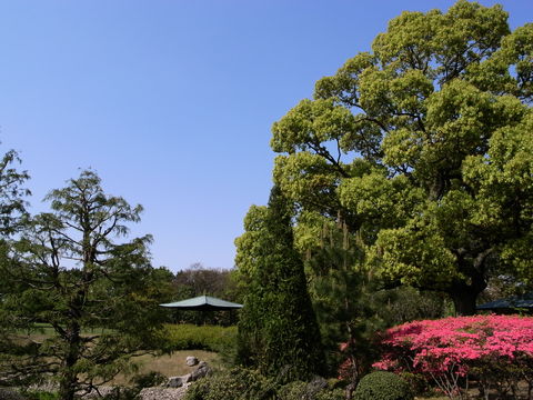 f:id:gzutetsu:20100429145351j:image