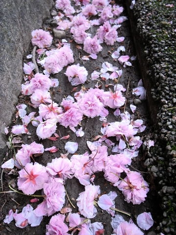 f:id:gzutetsu:20100429164032j:image