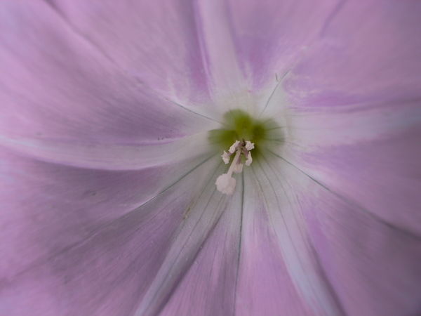 f:id:gzutetsu:20100619115112j:image