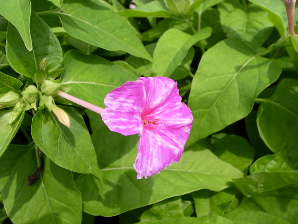f:id:gzutetsu:20100625101526j:image