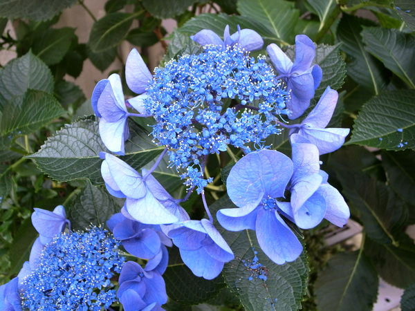 f:id:gzutetsu:20100628120951j:image