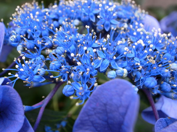 f:id:gzutetsu:20100628121031j:image