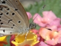 20100704120356