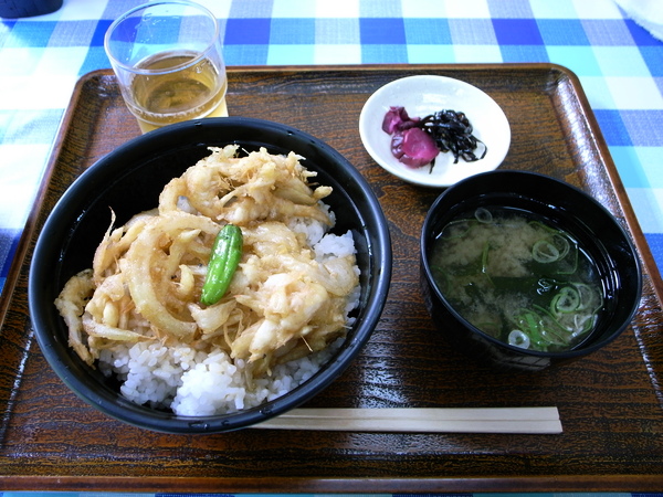 f:id:gzutetsu:20100811113403j:image