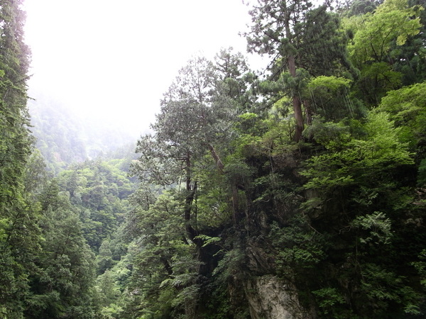 f:id:gzutetsu:20100811123959j:image