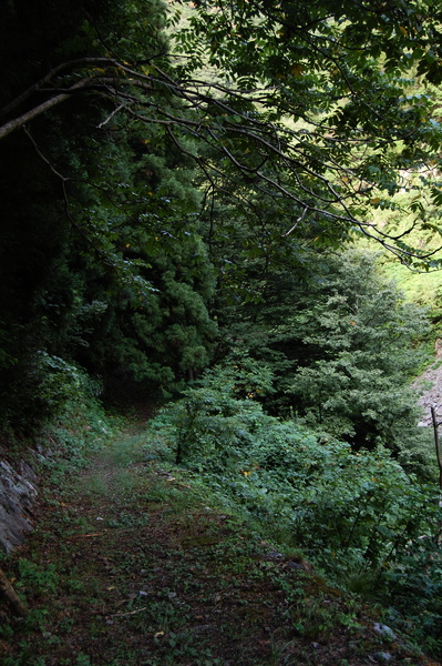 f:id:gzutetsu:20100811164153j:image