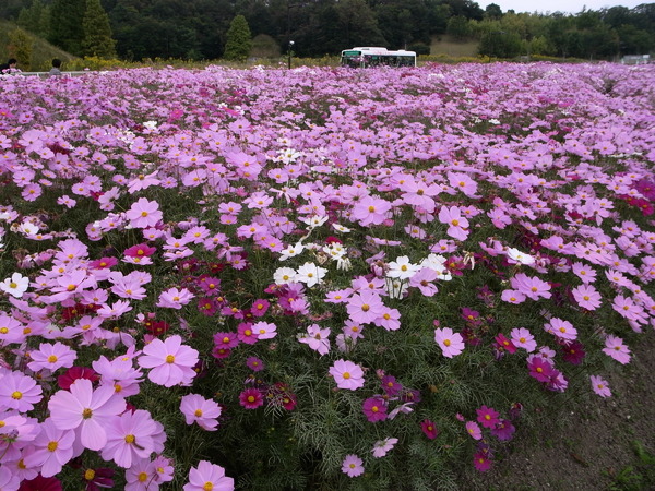 f:id:gzutetsu:20101024122033j:image