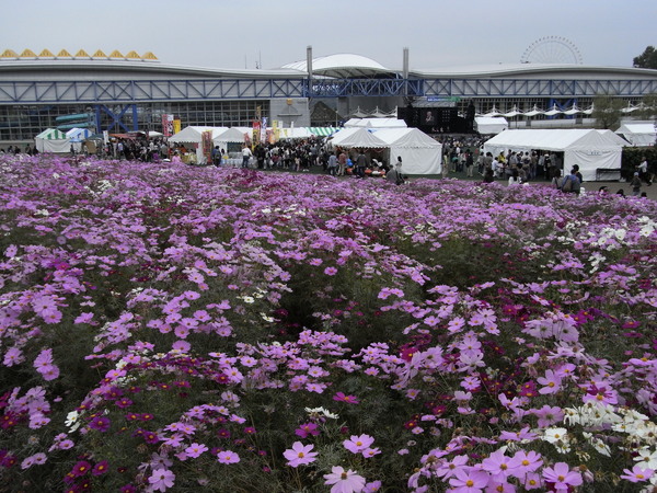 f:id:gzutetsu:20101024122116j:image