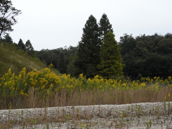 f:id:gzutetsu:20101024123310j:image