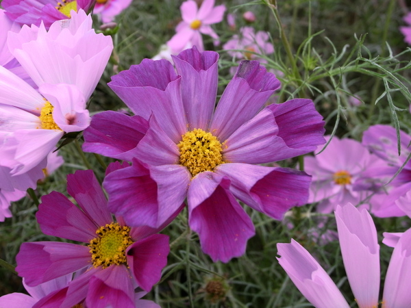f:id:gzutetsu:20101024131824j:image