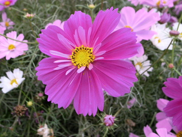 f:id:gzutetsu:20101024132253j:image