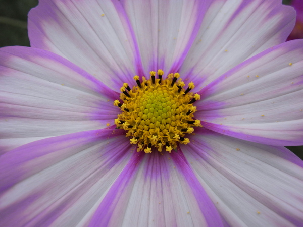 f:id:gzutetsu:20101024134635j:image