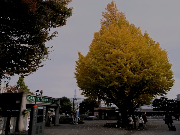f:id:gzutetsu:20101125130445j:image