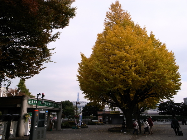 f:id:gzutetsu:20101125130458j:image