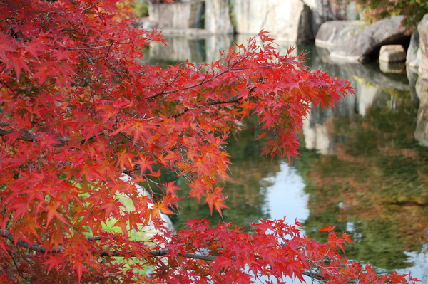 f:id:gzutetsu:20101128120412j:image