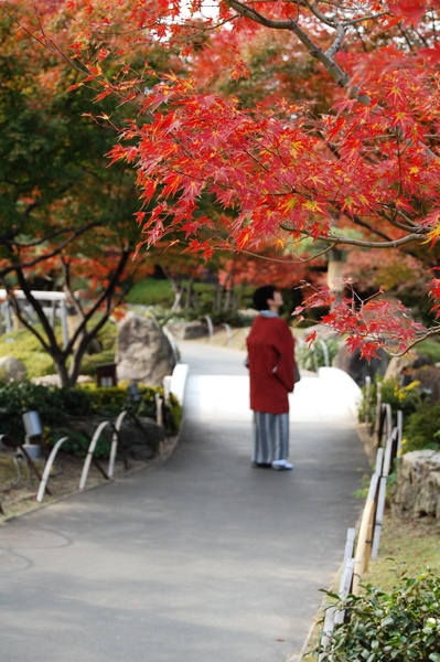 f:id:gzutetsu:20101128120711j:image
