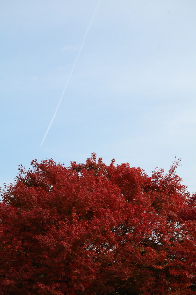 f:id:gzutetsu:20101128121138j:image