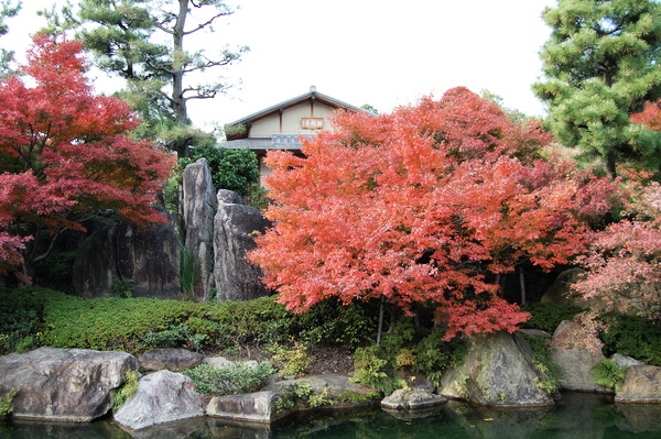 f:id:gzutetsu:20101128121209j:image