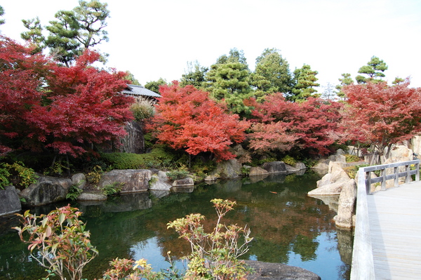 f:id:gzutetsu:20101128121501j:image