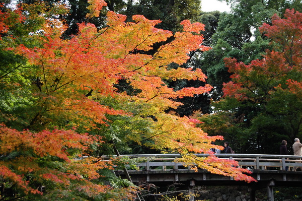 f:id:gzutetsu:20101128124521j:image