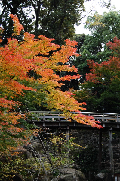 f:id:gzutetsu:20101128124530j:image