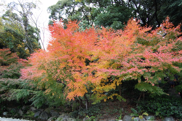 f:id:gzutetsu:20101128125622j:image