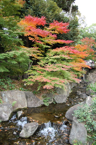 f:id:gzutetsu:20101128130325j:image