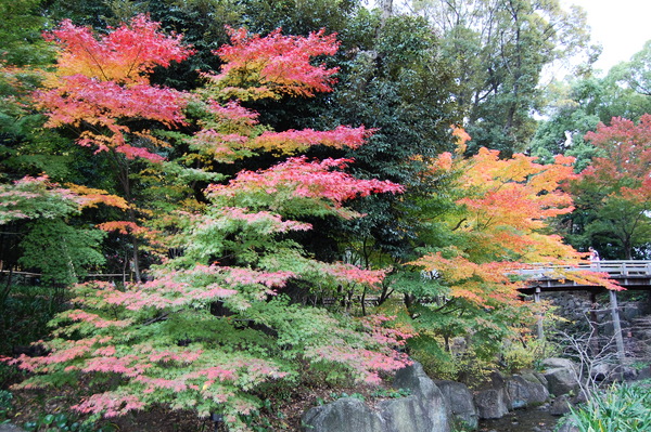 f:id:gzutetsu:20101128130653j:image
