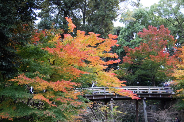 f:id:gzutetsu:20101128130741j:image