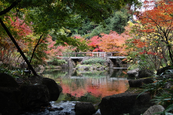 f:id:gzutetsu:20101128131014j:image