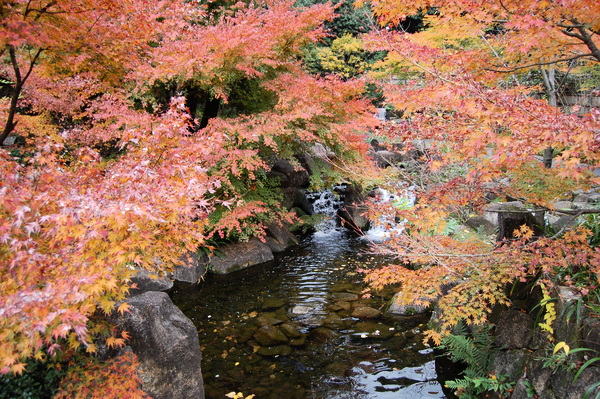 f:id:gzutetsu:20101128131109j:image