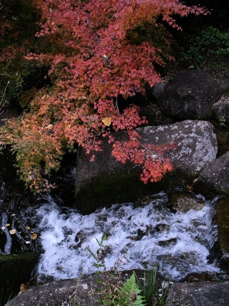 f:id:gzutetsu:20101128131142j:image