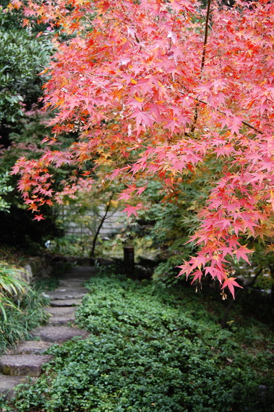 f:id:gzutetsu:20101128131208j:image