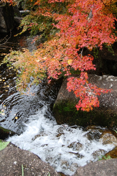 f:id:gzutetsu:20101128131935j:image