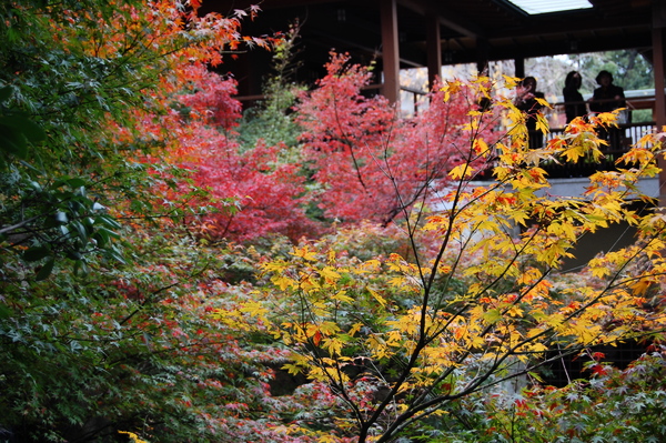f:id:gzutetsu:20101128132635j:image