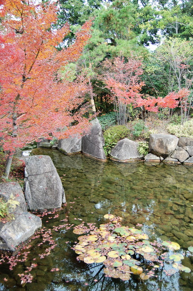 f:id:gzutetsu:20101128132810j:image