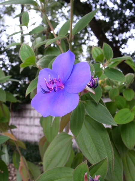 f:id:gzutetsu:20101128133003j:image