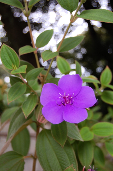 f:id:gzutetsu:20101128133807j:image